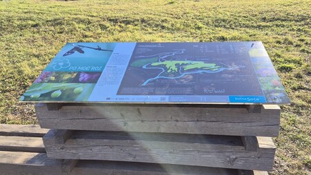 foto: METKA BELINGAR